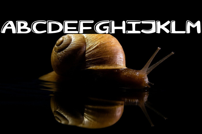 Semper Fideos Example 1