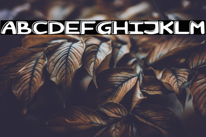 Semper Fideos Example 2