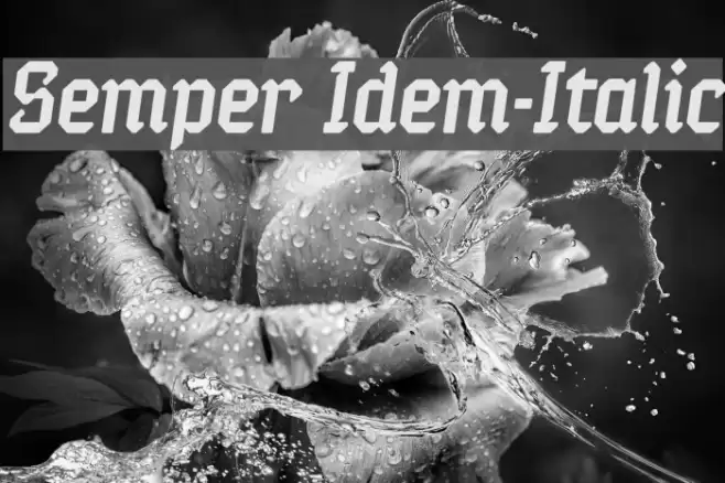 Semper Idem-Italic Шрифта examples