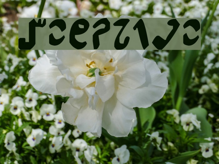 Semphari Font examples