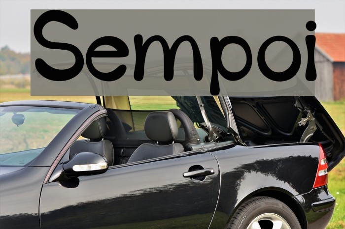 Sempoi Example 3