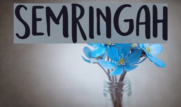 Semringah फ़ॉन्ट examples