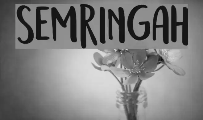 Semringah Font examples