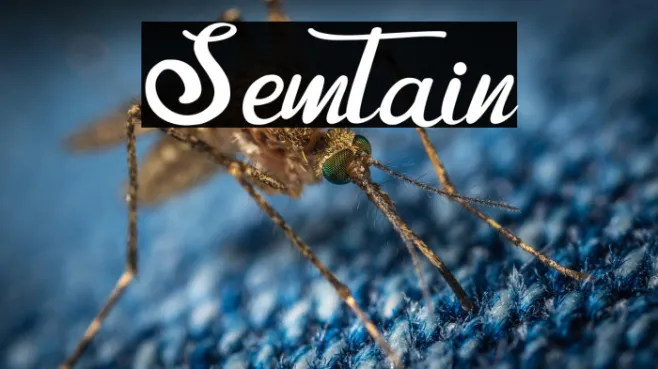 Semtain Example 2