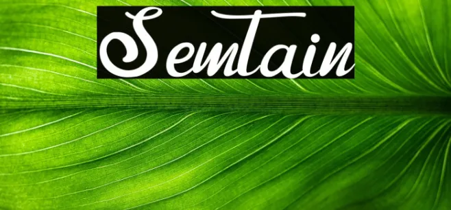 Semtain Example 3
