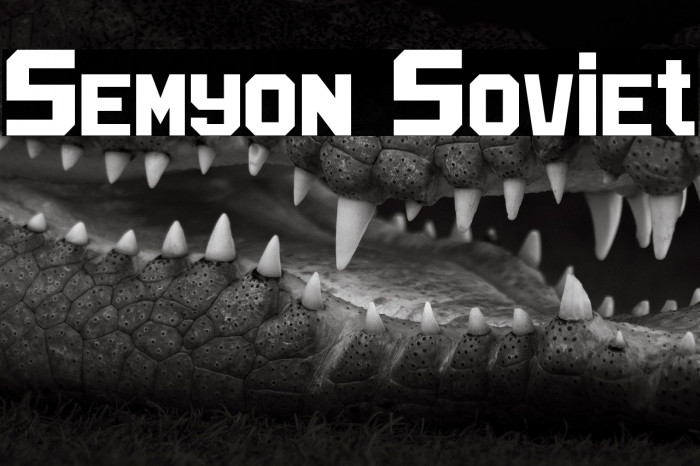 Semyon Soviet Example 1
