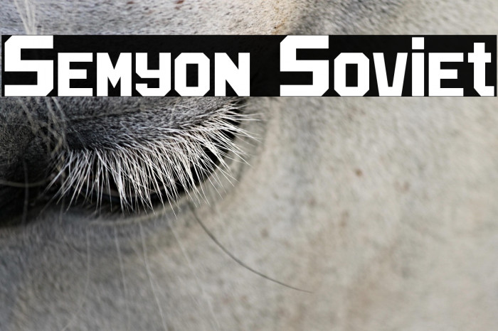 Semyon Soviet Example 3