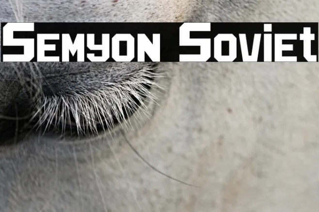 Semyon Soviet Example 3