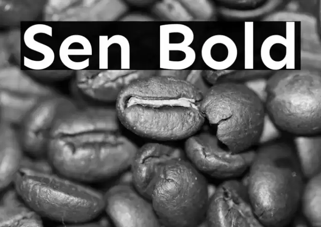 Sen Bold Font examples