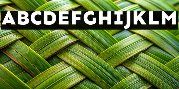 Sen ExtraBold Example 1