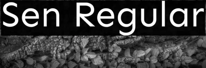 Sen Regular Font examples