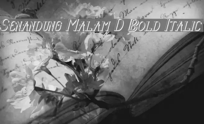 Senandung Malam 3D Bold Italic Font examples