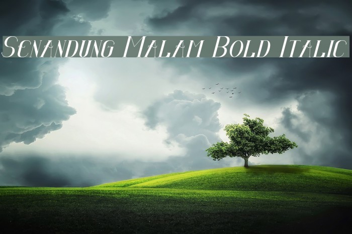 Senandung Malam Bold Italic Example 1