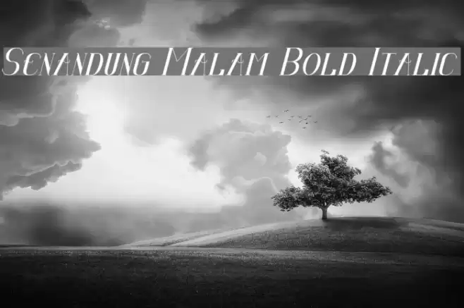 Senandung Malam Bold Italic Font examples