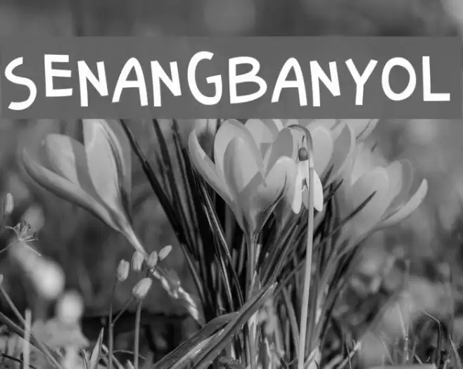 SenangBanyol Font examples