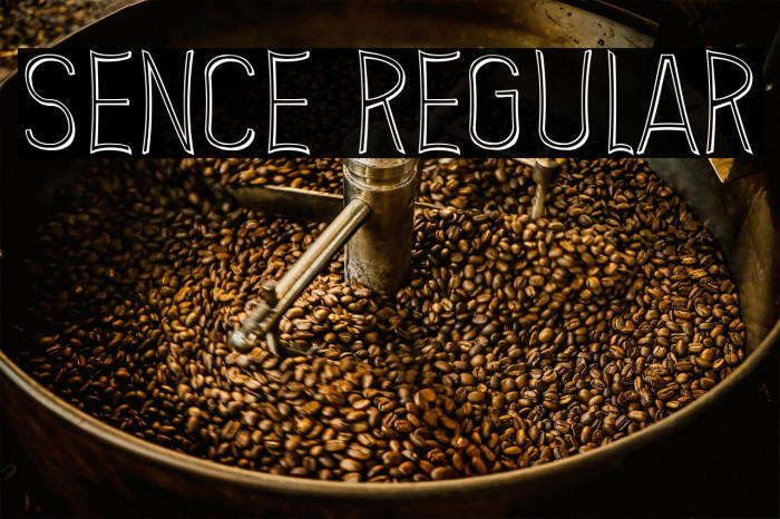 Sence Regular Example 1