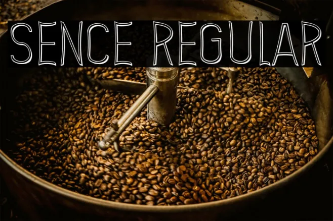 Sence Regular Example 1