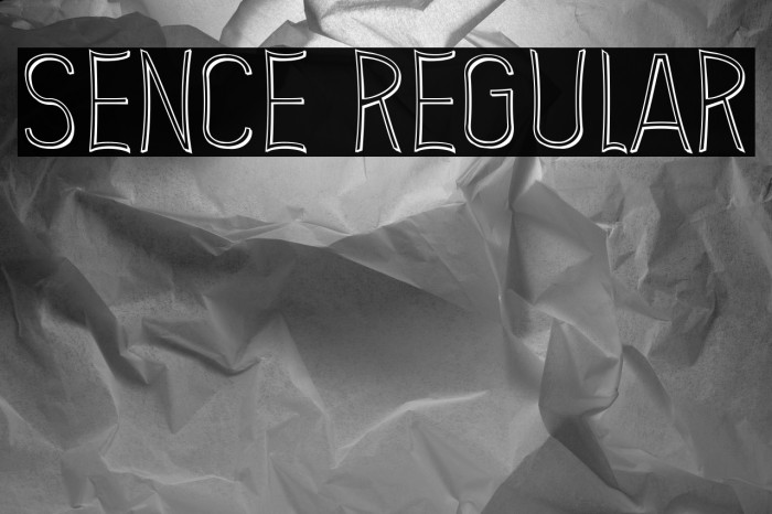 Sence Regular Example 2