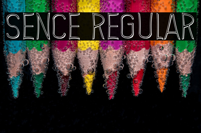 Sence Regular Example 3