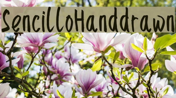SencilloHanddrawn Font examples