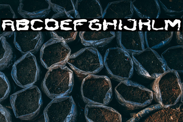 SendCash-Regular Example 2