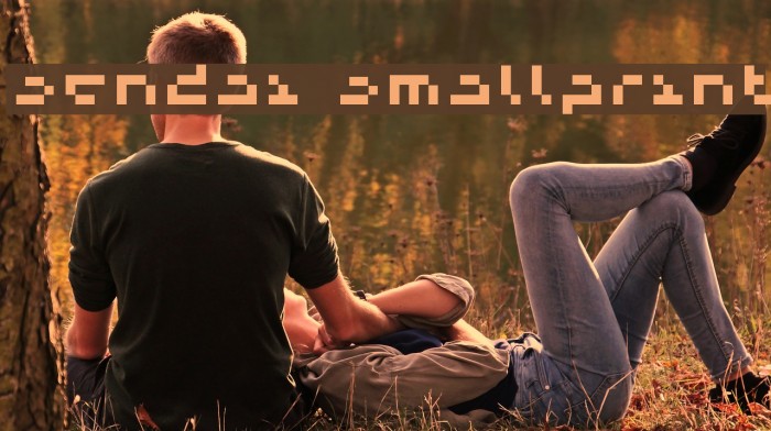 Sendai Smallprint Font examples
