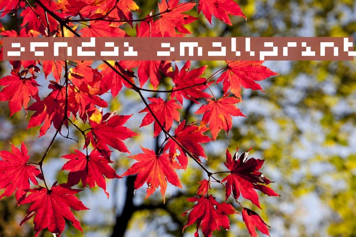 Sendai Smallprint Font examples