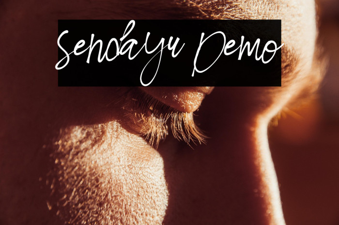 Sendayu Demo Example 1