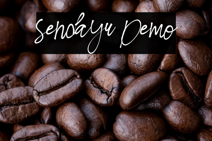 Sendayu Demo Example 2