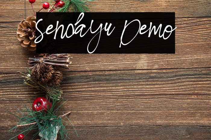 Sendayu Demo Example 3