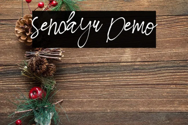 Sendayu Demo Example 3