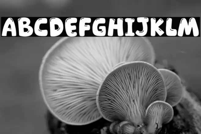 Sendcat Font examples