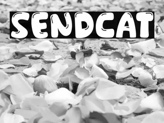 Sendcat Font examples