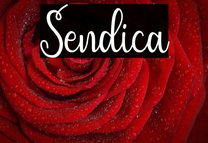 Sendica Example 2