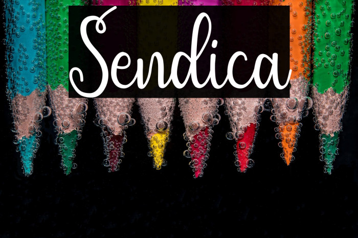 Sendica Example 3