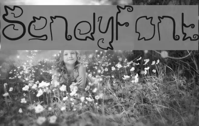 Sendy Font examples