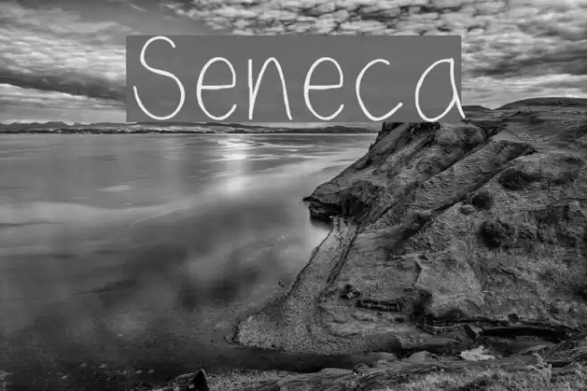 Seneca Font examples
