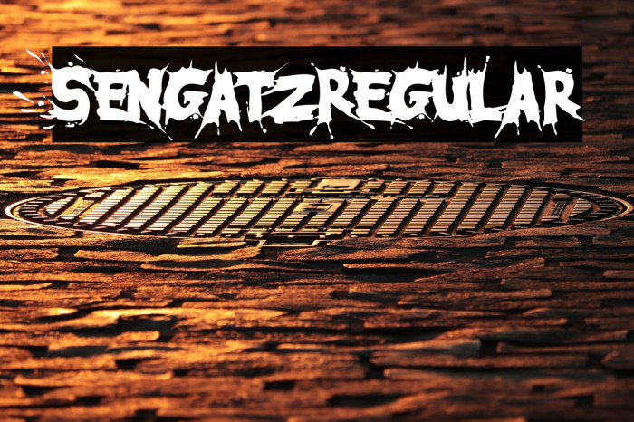 SengatzRegular Example 1