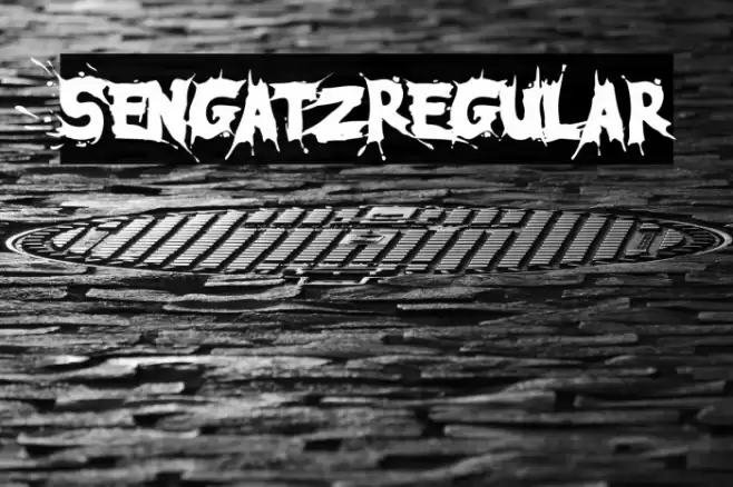 SengatzRegular Font examples