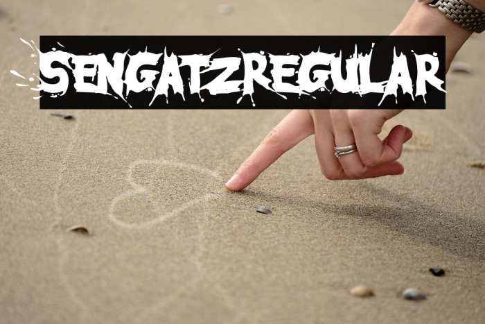 SengatzRegular Example 2