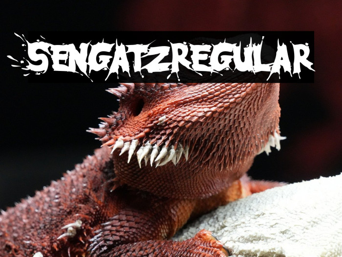 SengatzRegular Example 3