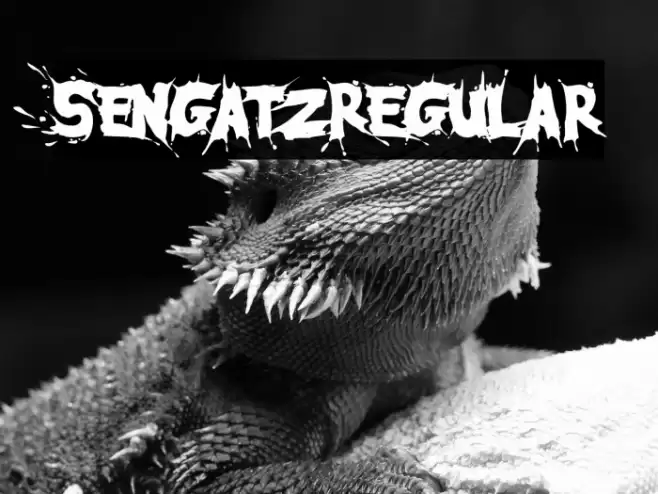 SengatzRegular Font examples