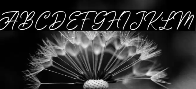 SengkalingDemo-Script Font examples