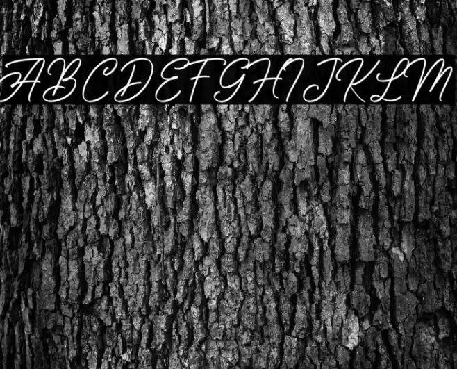 SengkalingDemo-Script Font examples