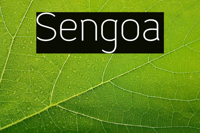 Sengoa Example 1