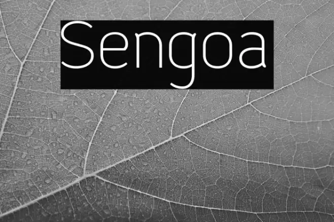 Sengoa Font examples