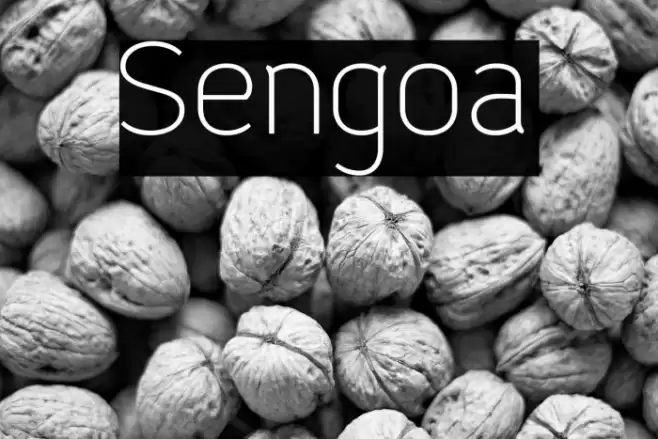 Sengoa Font examples