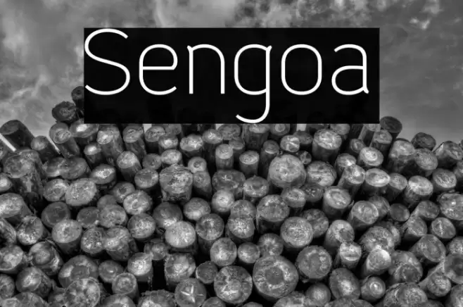 Sengoa Font examples