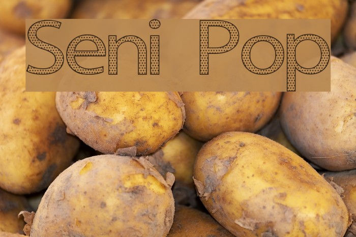 Seni Pop Font examples