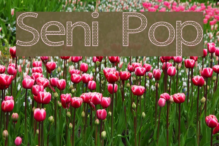Seni Pop Font examples